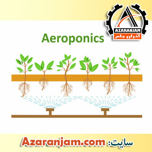 آئروپونیک - کشت هیدروپونیک