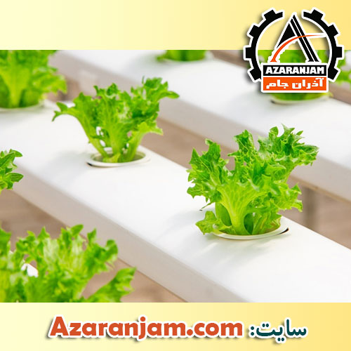 کشت هیدروپونیک (آموزش نکات کشت حرفه ای)