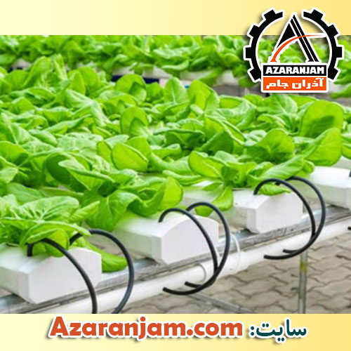 تجهیزات گلخانه هیدروپونیک