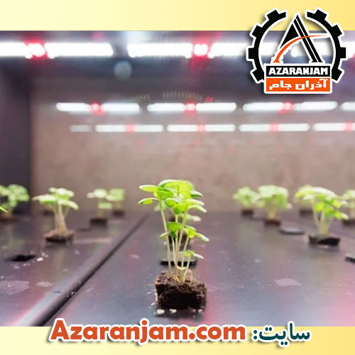 نور در کشت هیدروپونیک