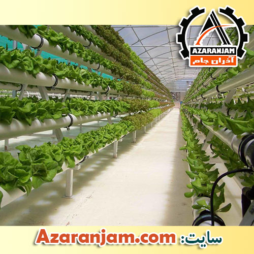 کشت عمودی- کشت هیدروپونیک