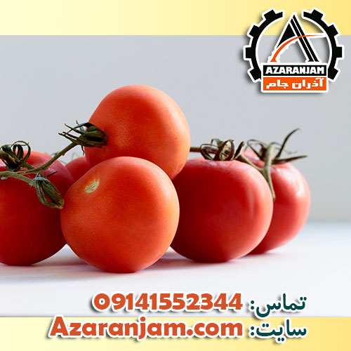 کشت گوجه فرنگی به روش هیدروپونیک