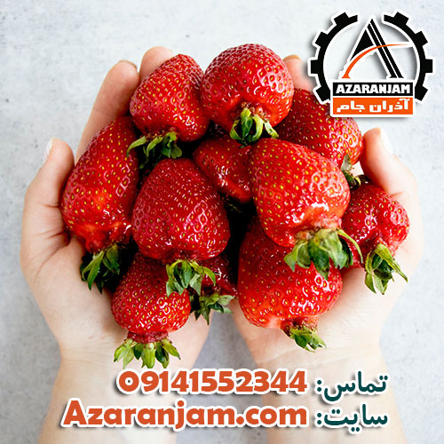 پرورش توت فرنگی گلخانه ای – نکات کشت به روش هیدروپونیک