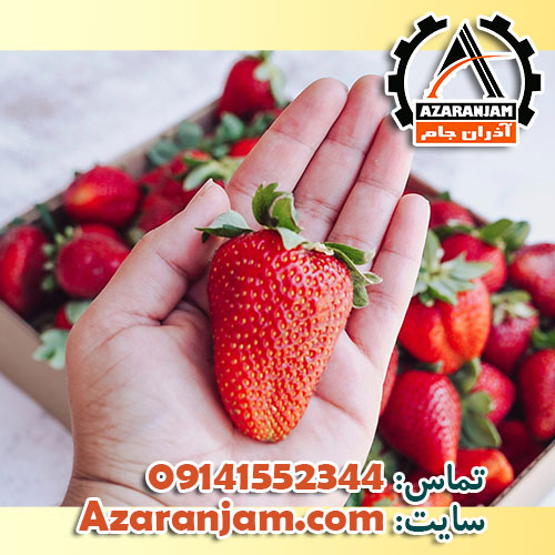 سود پرورش توت فرنگی گلخانه ای