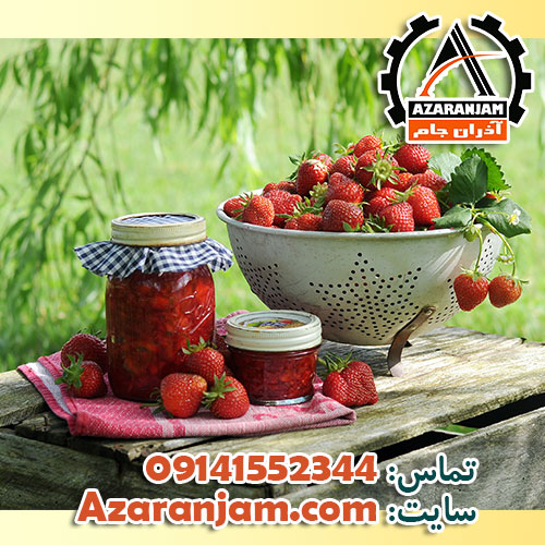 مراحل کشت توت فرنگی در گلخانه