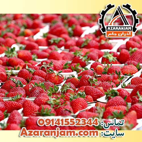 میزان برداشت از گلخانه توت فرنگی در هر هکتار چقدر است ؟