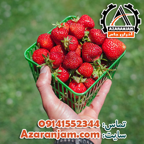 چه زمانی توت فرنگی گلخانه ای را برداشت می کنیم؟